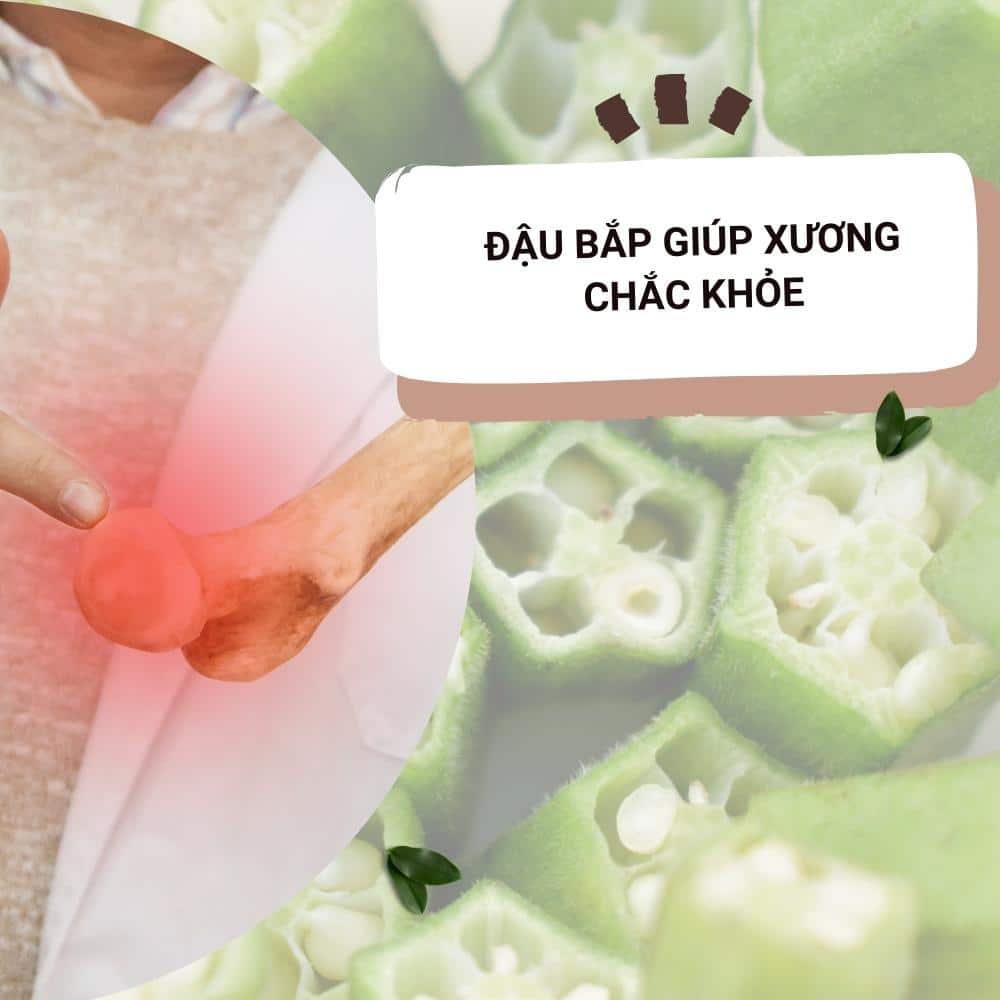 Tác dụng chữa bệnh của quả đậu bắp 6 dau bap giup xuong chac khoe