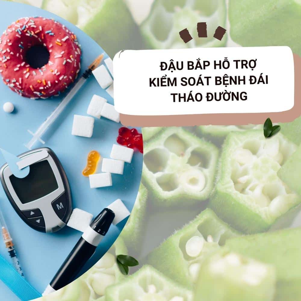 Tác dụng chữa bệnh của quả đậu bắp 3 dau bap ho tro kiem soat benh dai thao duong
