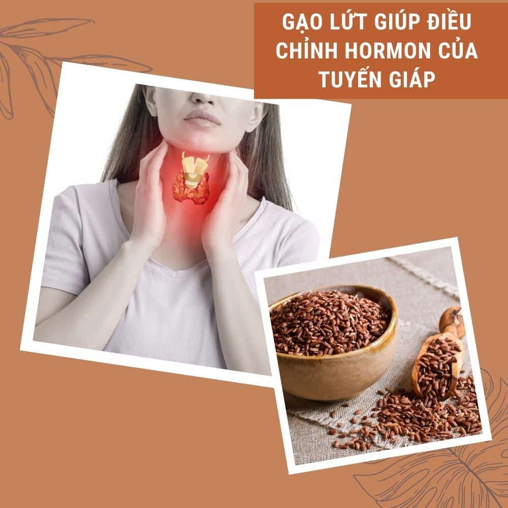 nuoc gao lut giup dieu chinh hormon tuyen giap