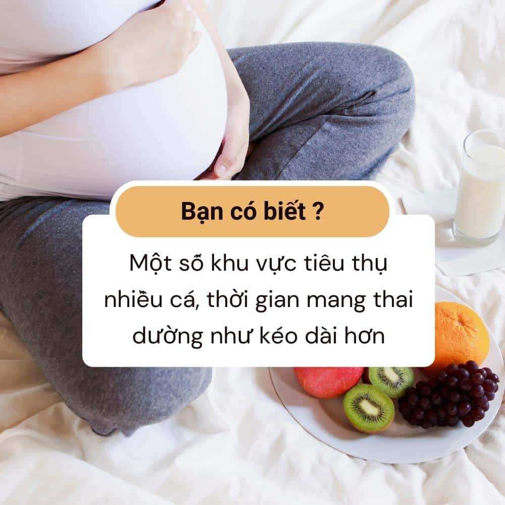 Ăn cá khi mang thai để giảm nguy cơ sinh non 1 phu nu mang thai nen an ca giam sinh non