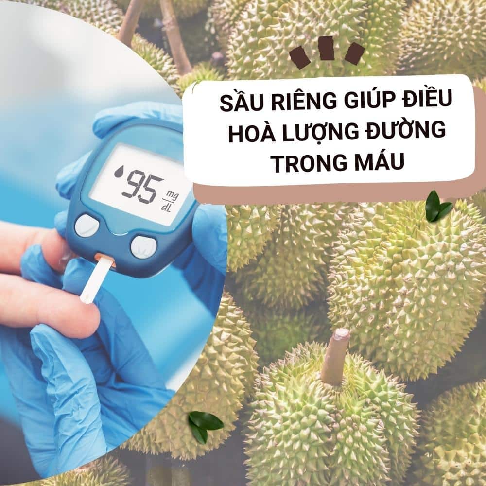 sau rieng dieu hoa luong duong trong mau