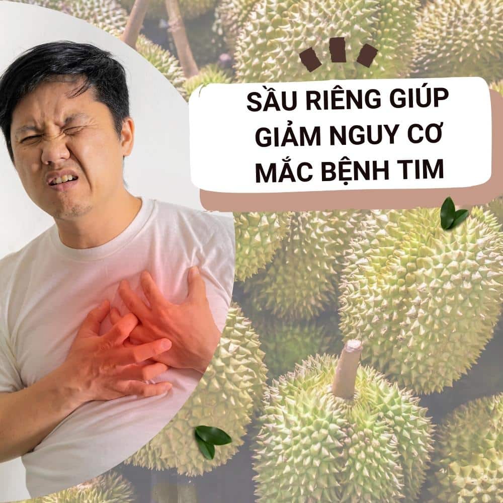 sau rieng giam nguy co mac benh tim