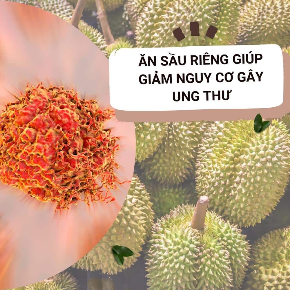 sau rieng giup giam nguy co ung thu