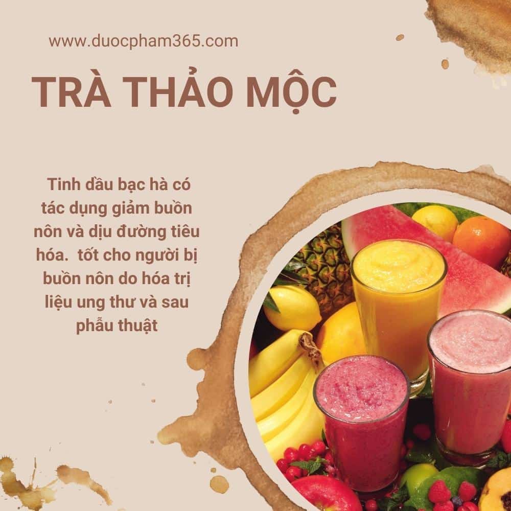 Tra thao moc
