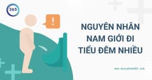 anh bia nguyen nhan nam gioi di tieu dem