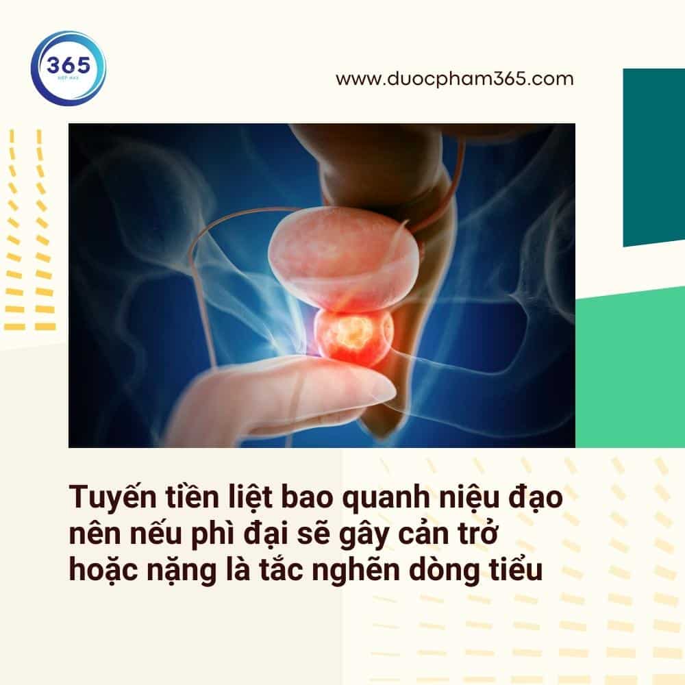 benh tuyen tien liet