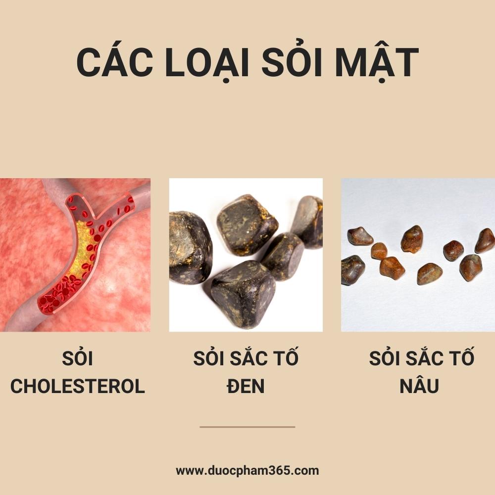 cac loai soi mat