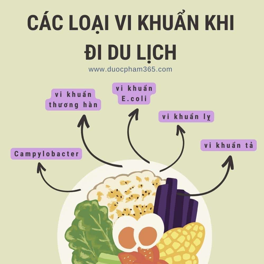5 Cách phòng tránh ngộ độc thực phẩm khi đi du lịch 1 cac loai vi khuan khi di du lich