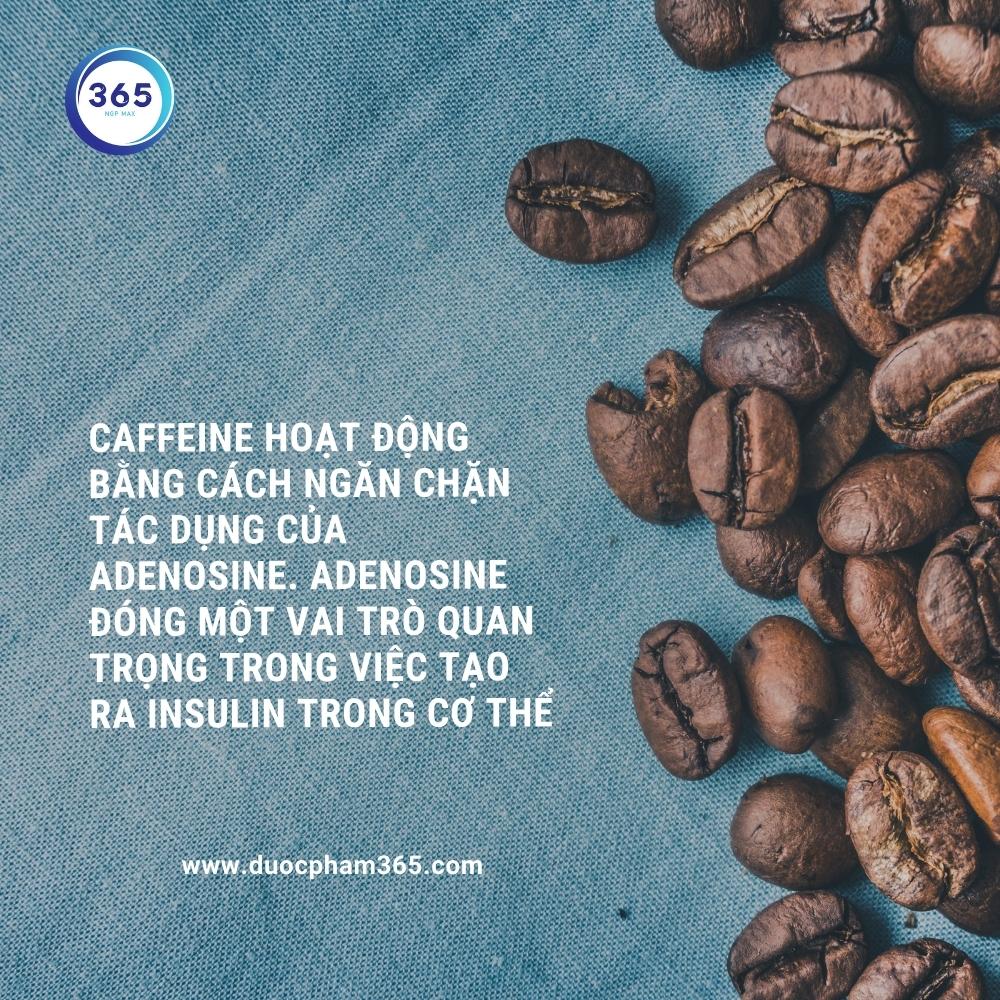 caffeine tac dong len insulin