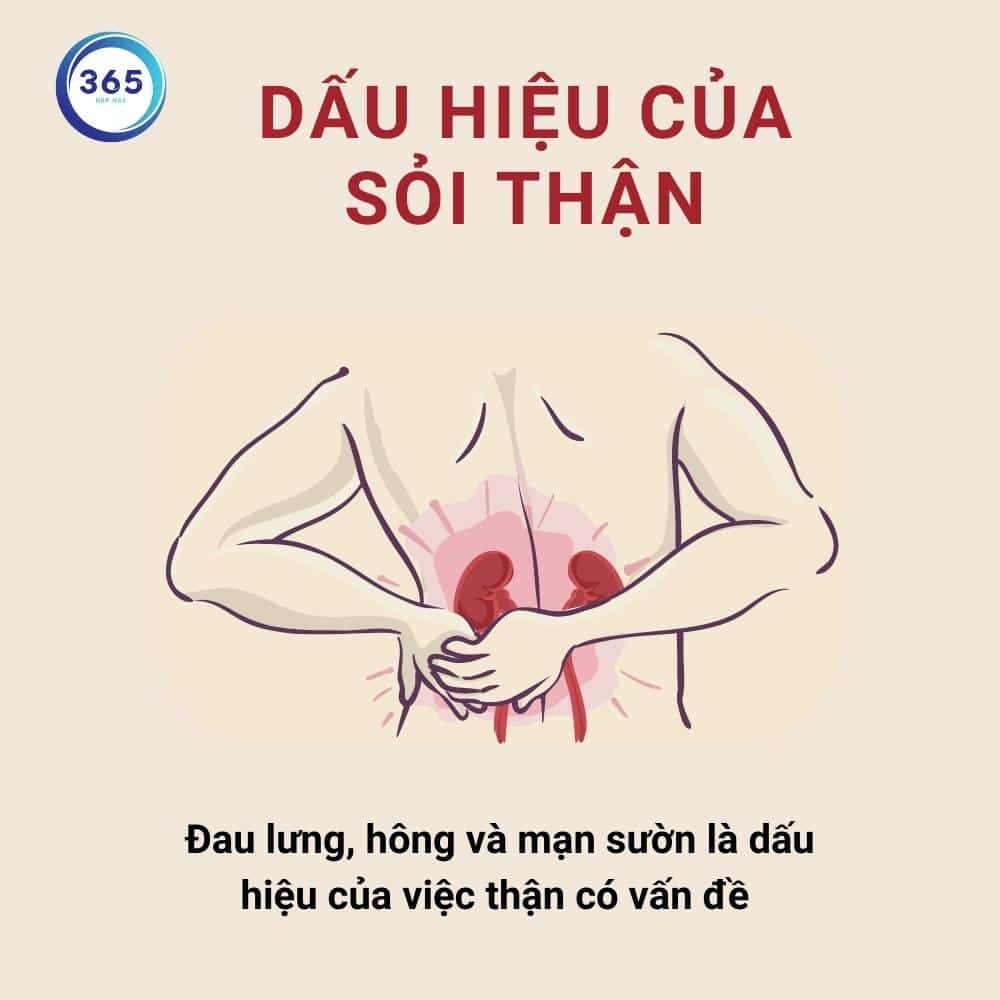 Đọc vị các cơn đau do sỏi thận 1 dau hieu cua soi than