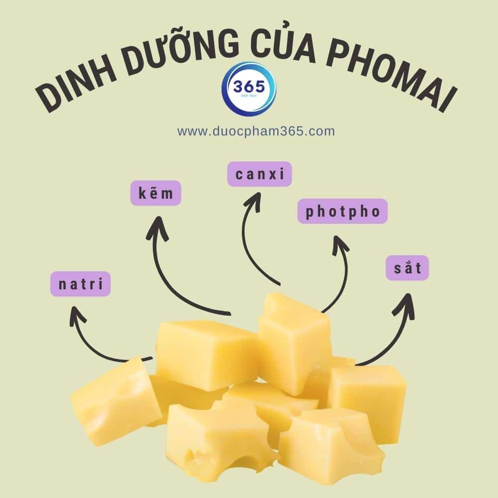 dinh duong cua phomai