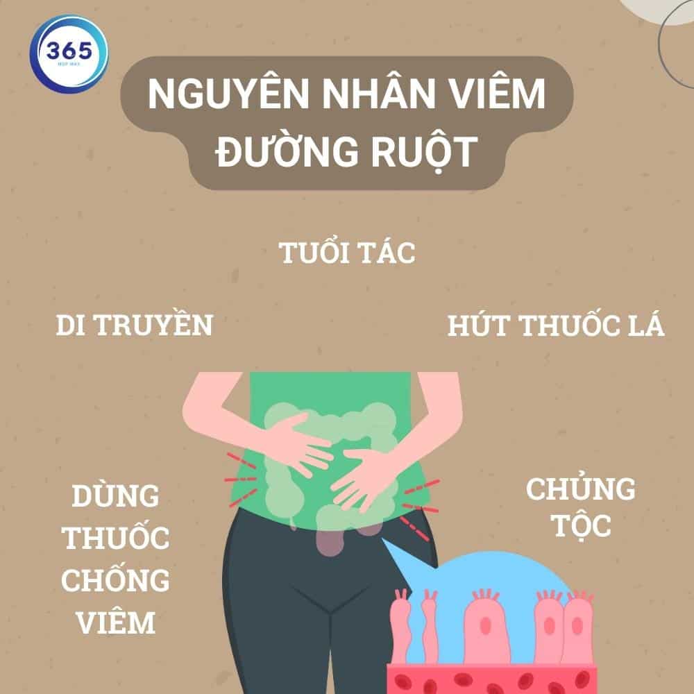 Viêm đường ruột là gì? 3 nguyen nhan viem duong ruot