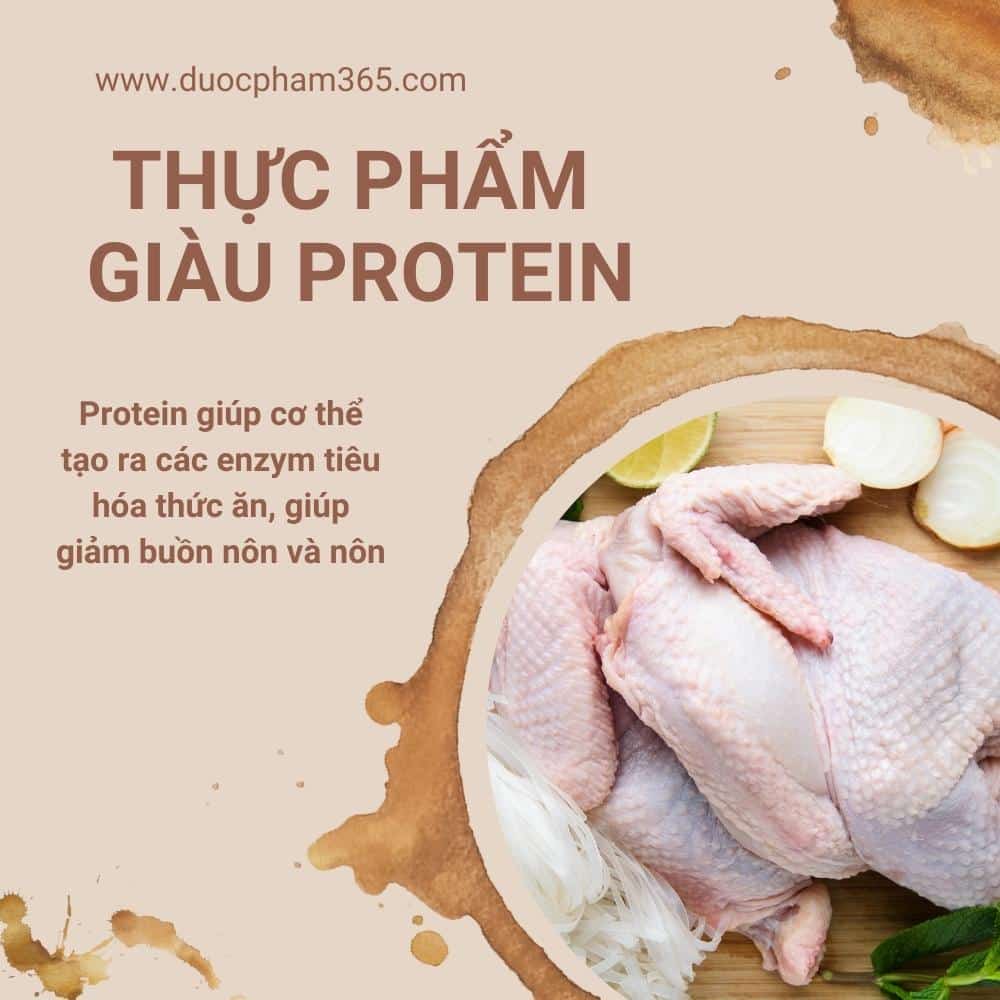Chế độ ăn tốt cho người hóa trị ung thư phổi 3 thuc pham giau protein