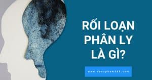 anh bia roi loan phan ly