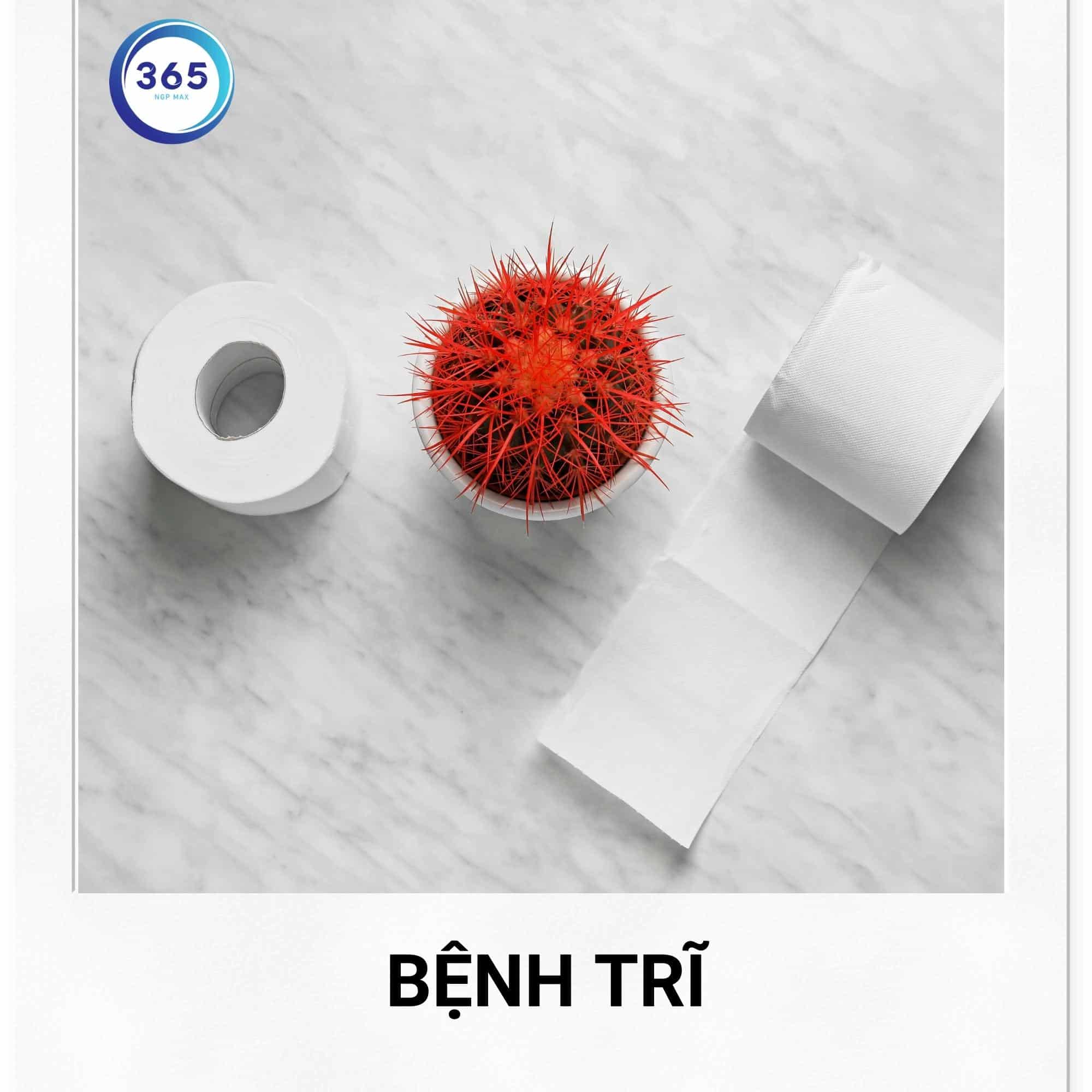 benh tri gay ngua hau mon