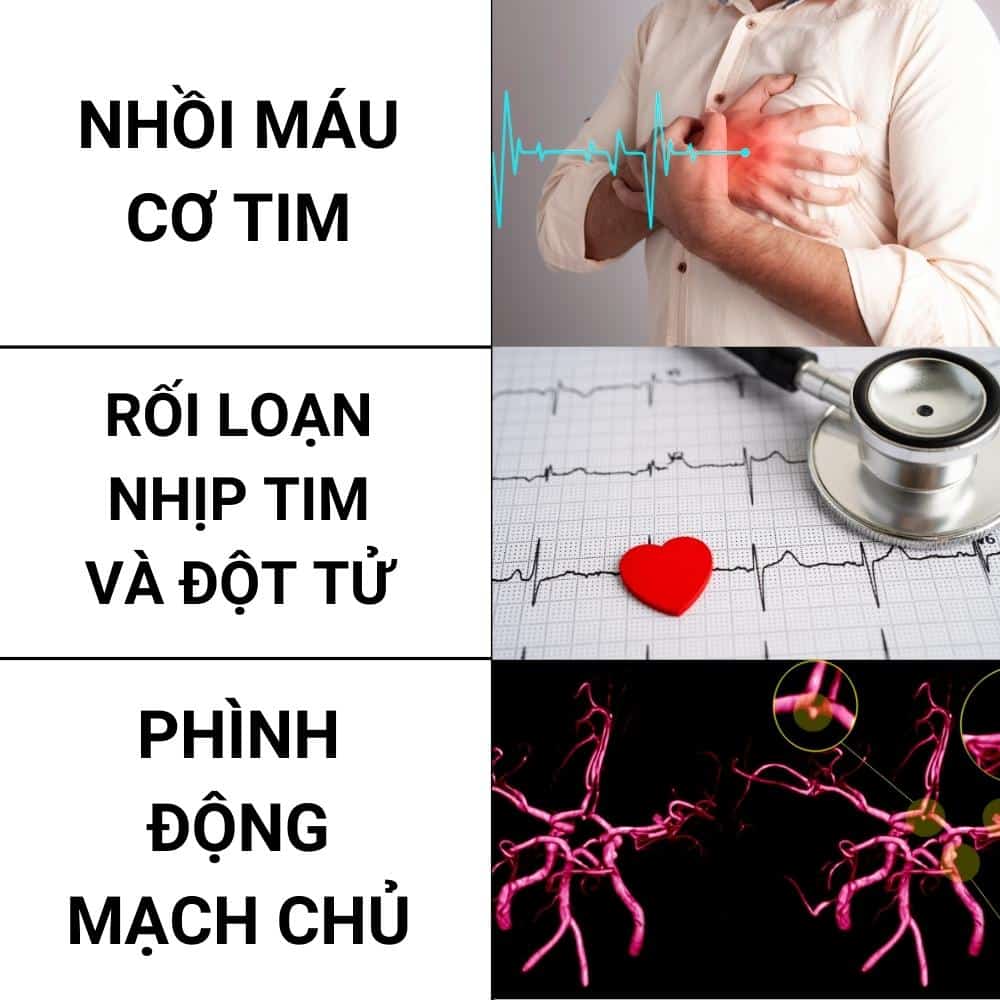 Hút thuốc lá gây ảnh hưởng gì đến tim mạch 4 hút thuốc lá ảnh hưởng đến tim mạch
