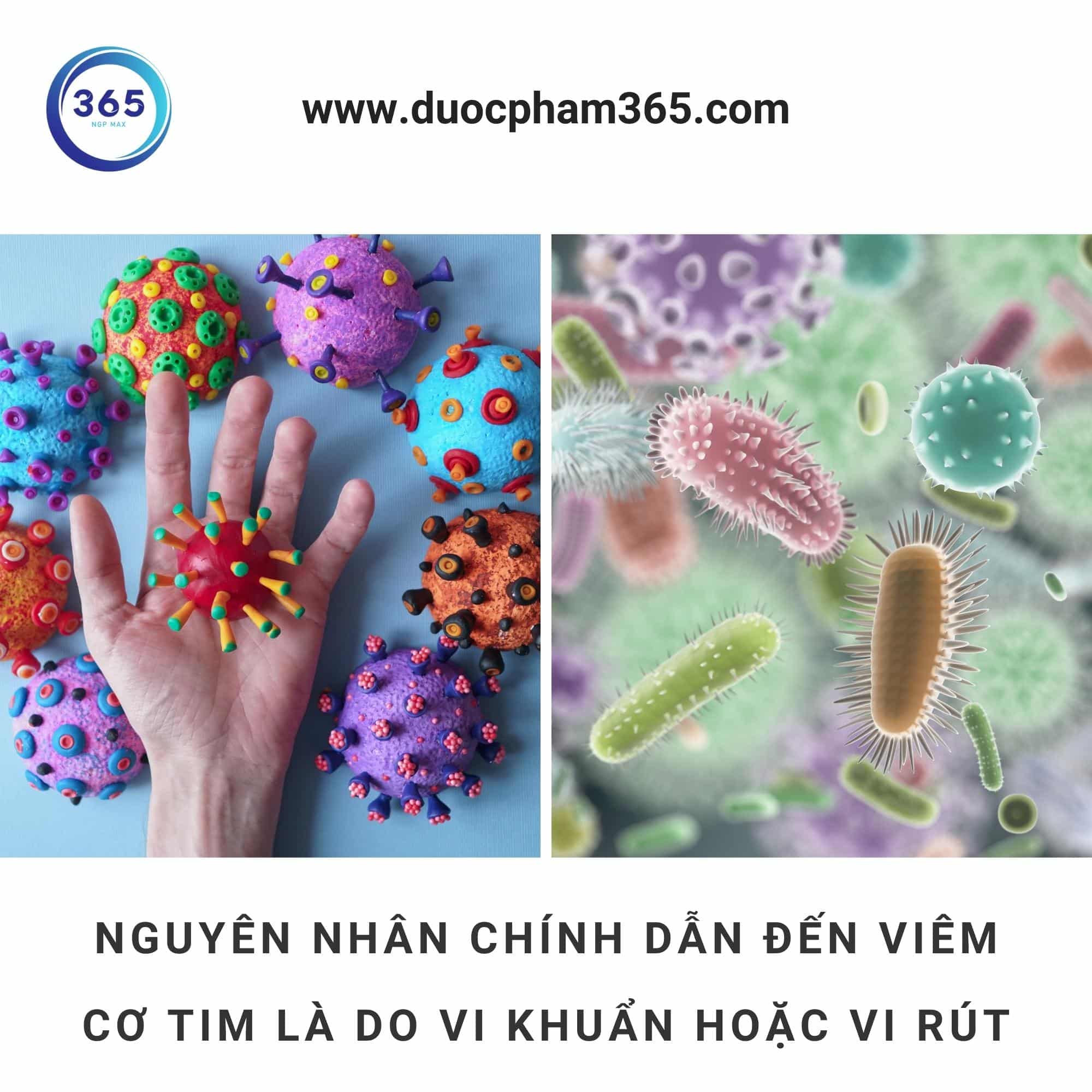 nguyen nhan gay viem co tim