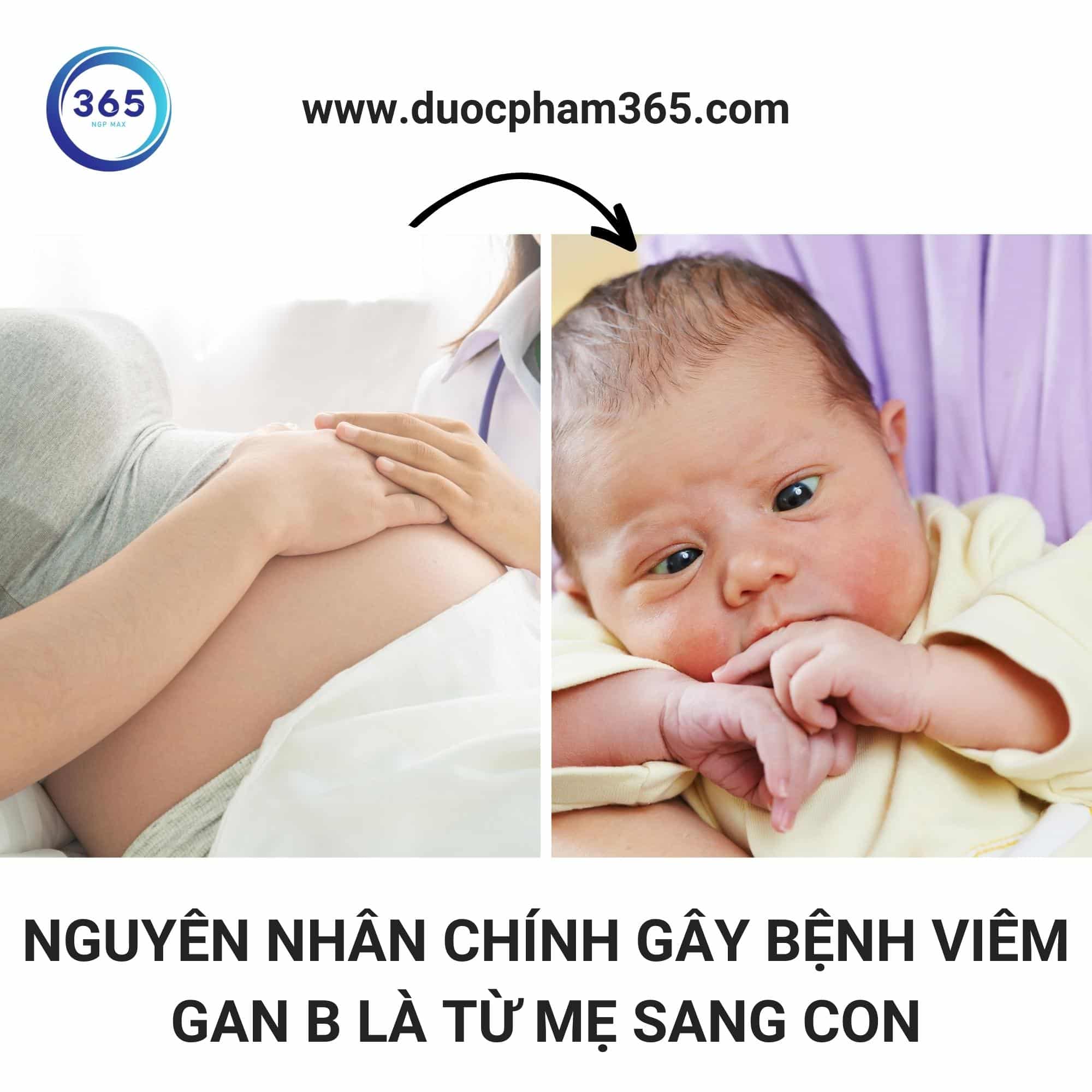 nguyen nhan gay viem gan b