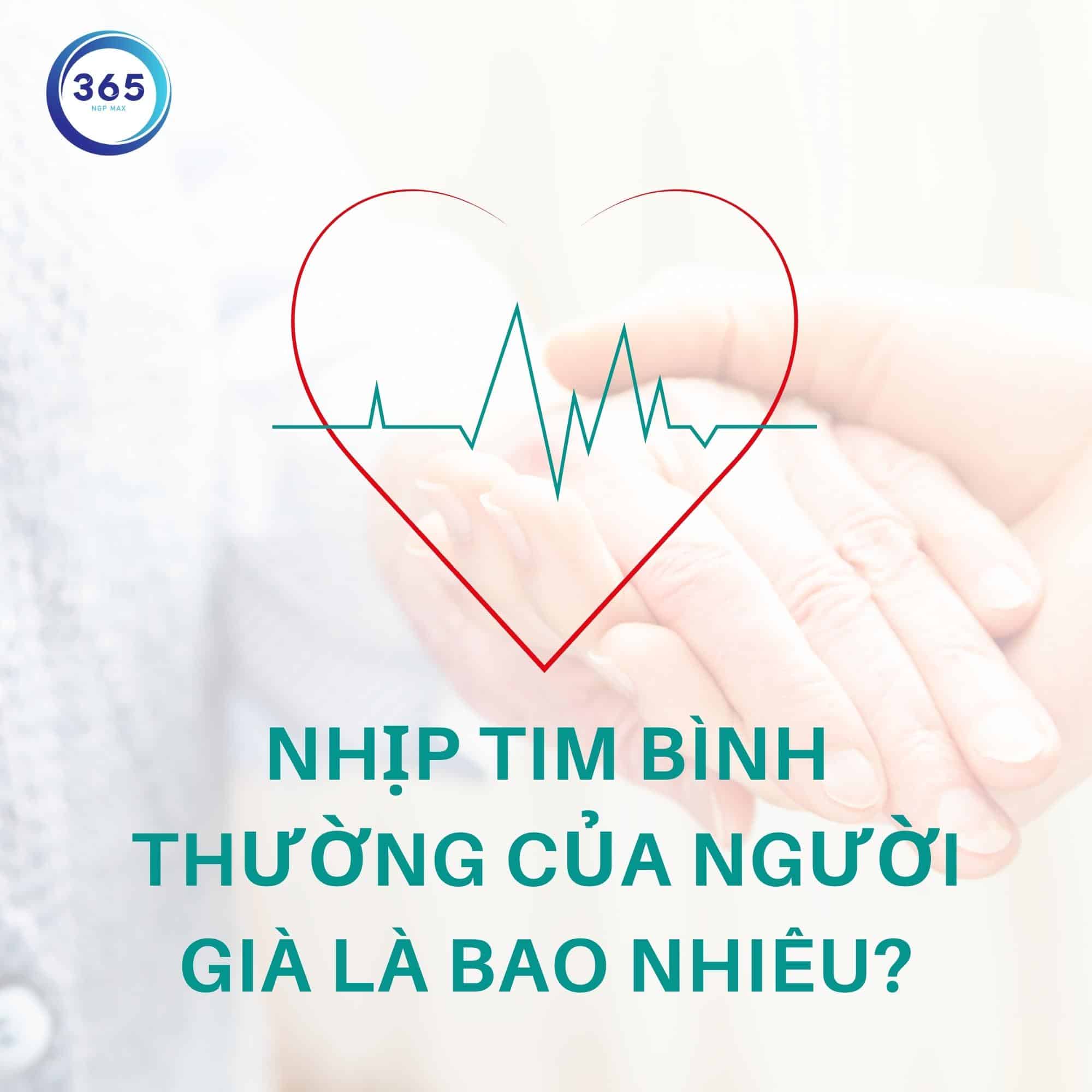 nhip tim nguoi gia khoe manh