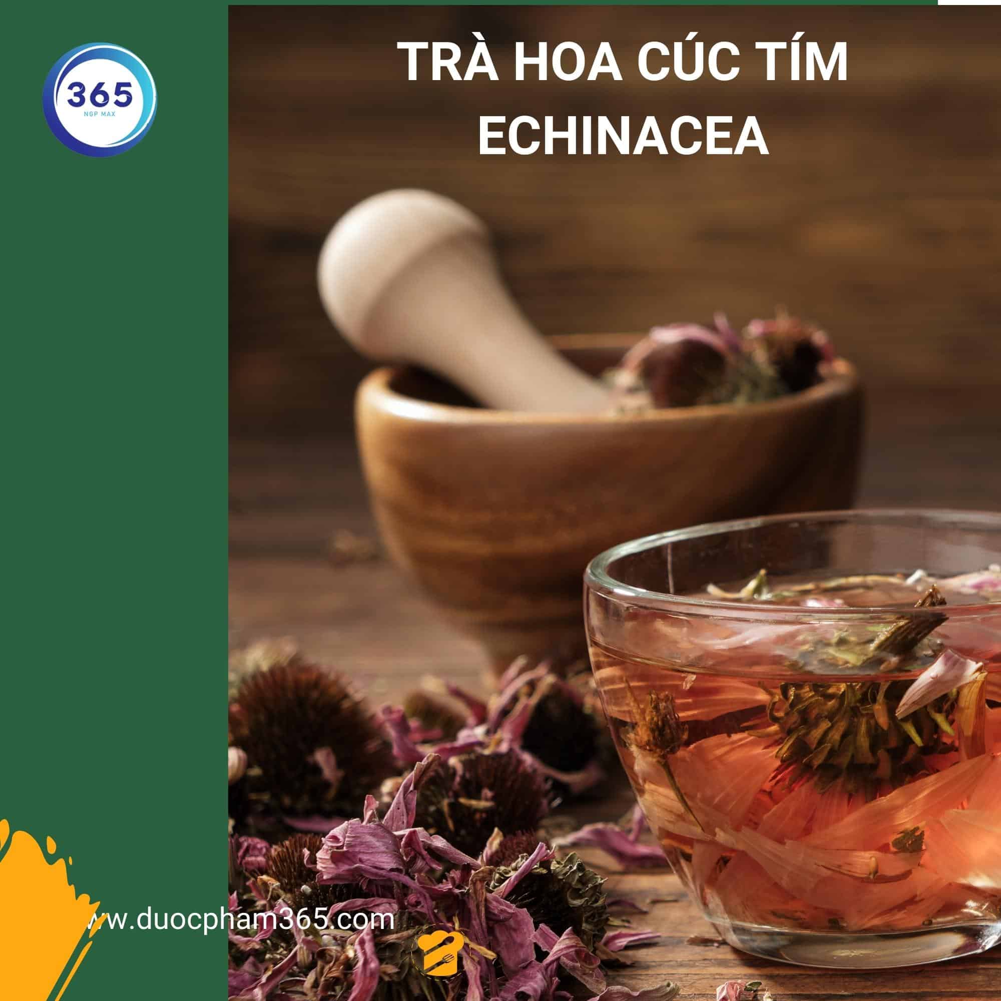 7 loại nước làm giảm đau họng tại nhà 3 su dung tra hoa cuc tim