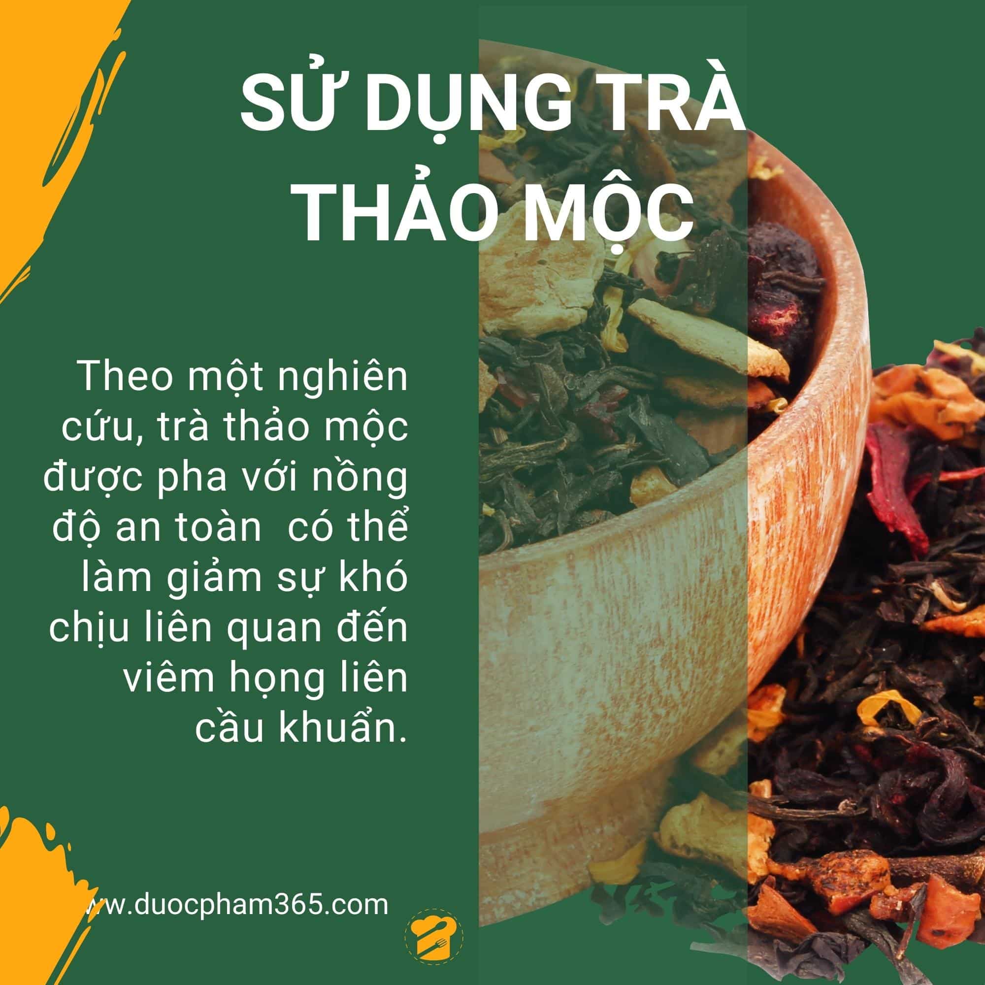 7 loại nước làm giảm đau họng tại nhà 2 sử dụng trà chữa đau họng