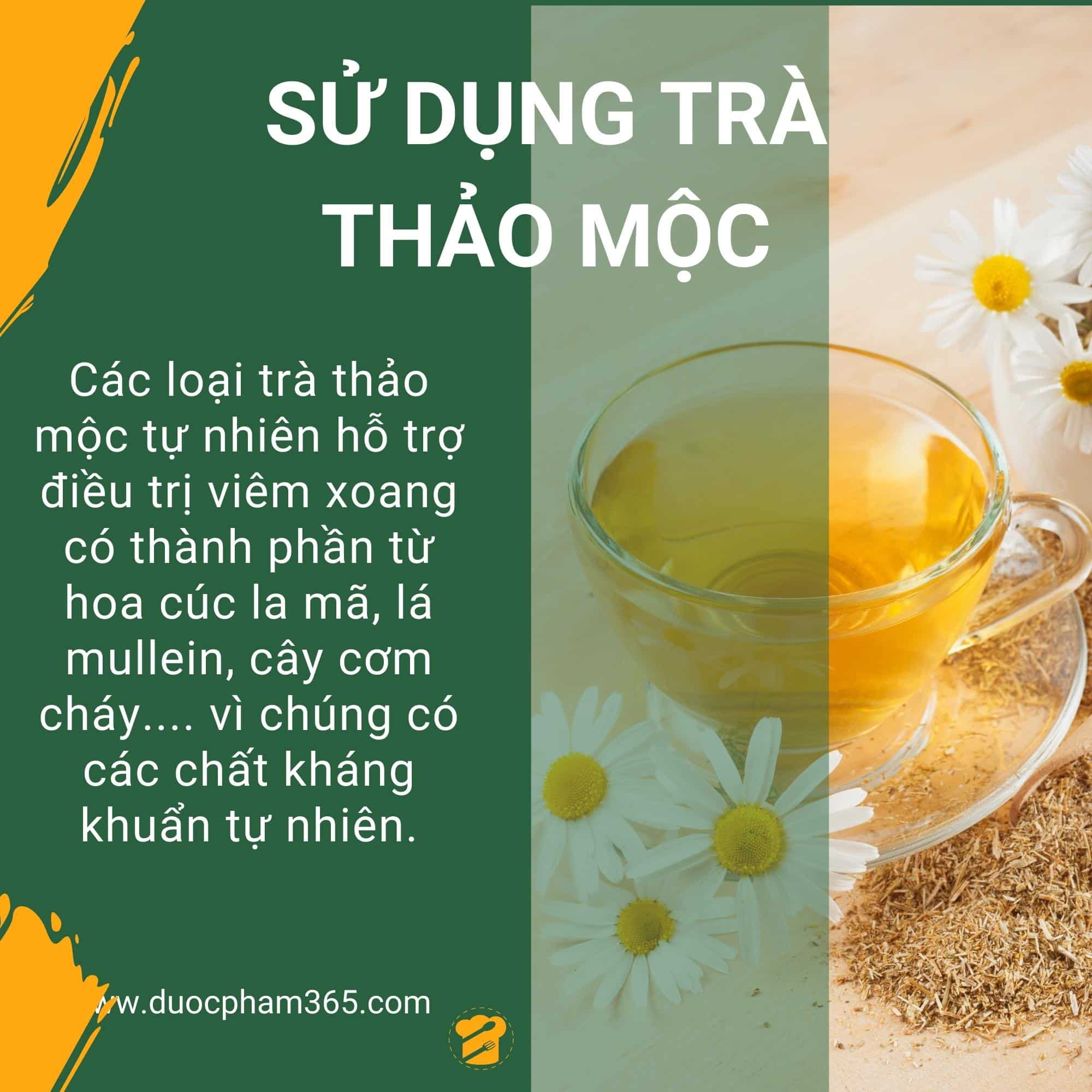 sử dụng trà thảo mộc để chữa xoang
