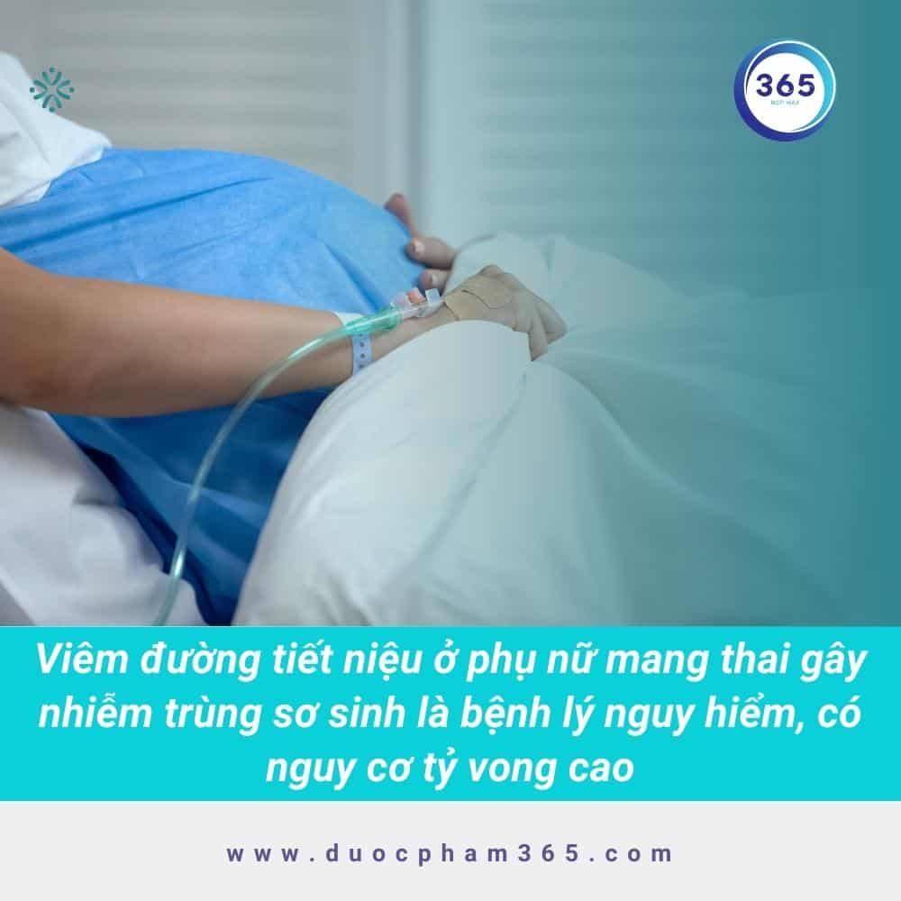 Viêm đường tiết niệu khi mang thai có nguy hiểm không? 2 viem duong tiet nieu phu nu mang thai gay nhiem trung tre so sinh