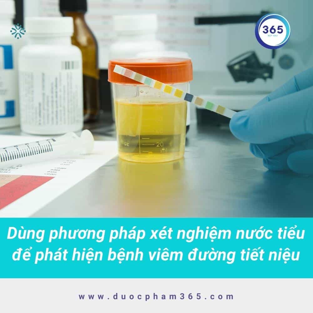 Viêm đường tiết niệu khi mang thai có nguy hiểm không? 4